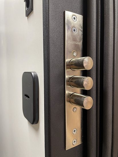 Входная дверь  