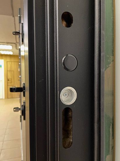 Входная дверь  